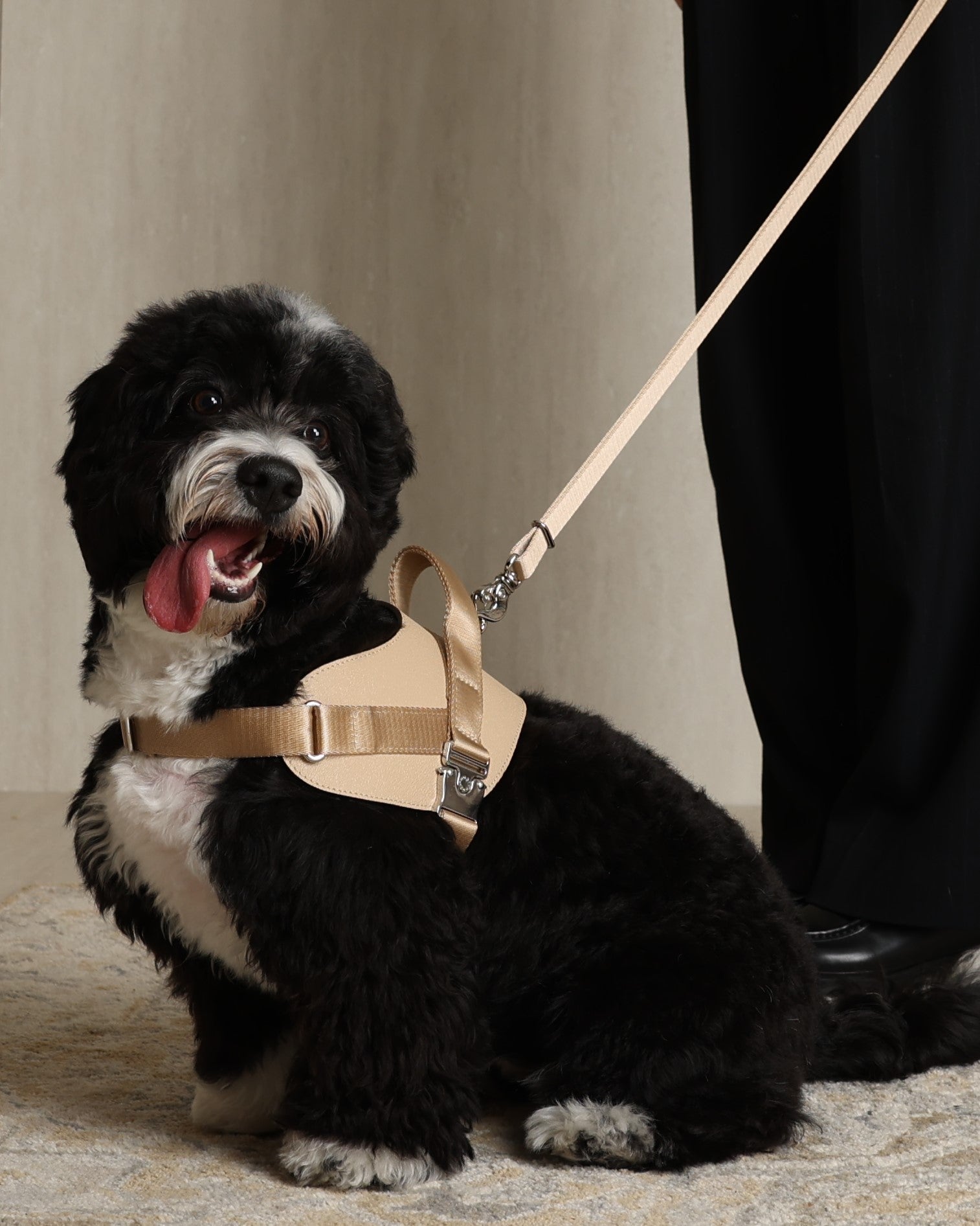 Saddle Harness BEIGE