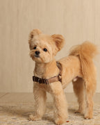 Horsebit Harness MOCHA