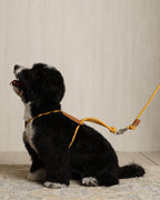 Essential Harness MUSTARD