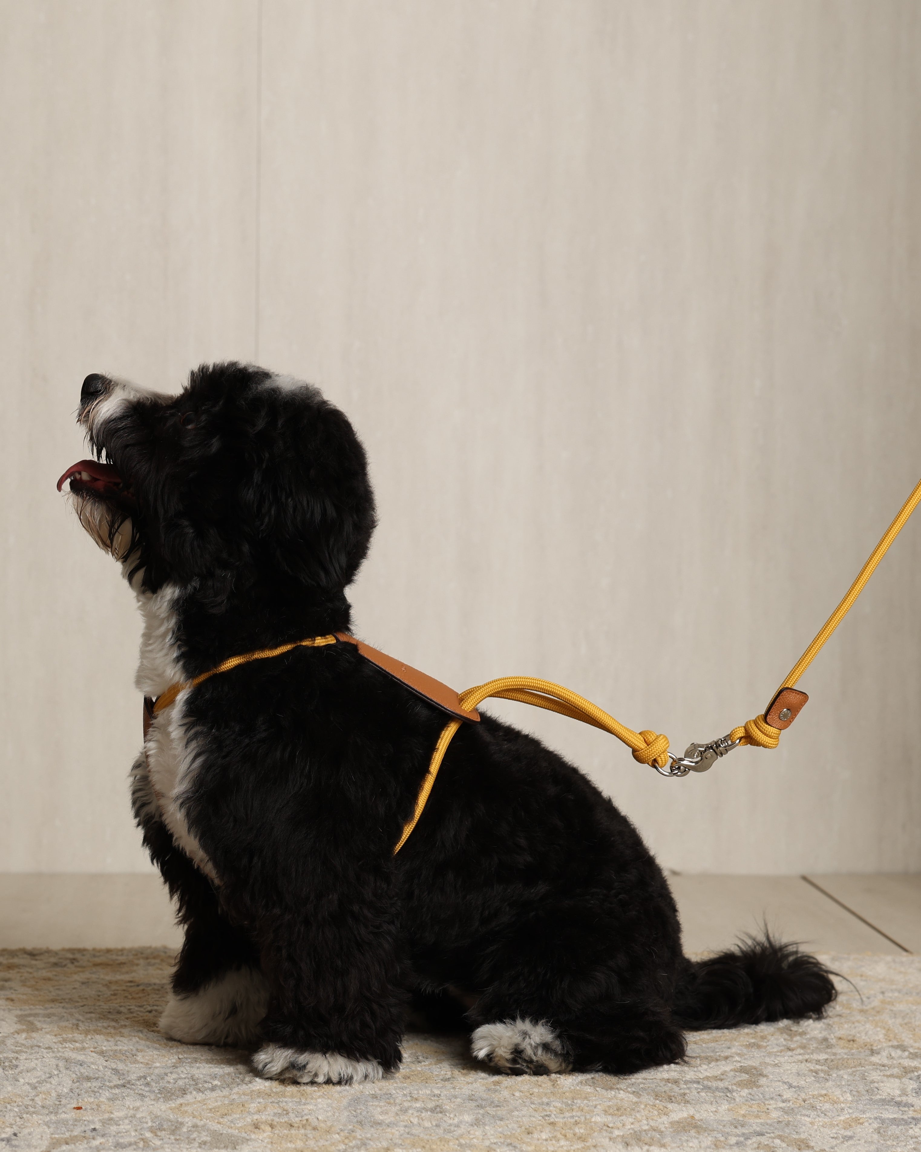 Essential Harness MUSTARD