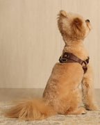 Horsebit Harness MOCHA