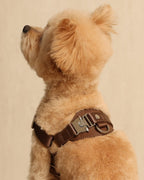 Horsebit Harness MOCHA
