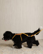 Essential Harness MUSTARD
