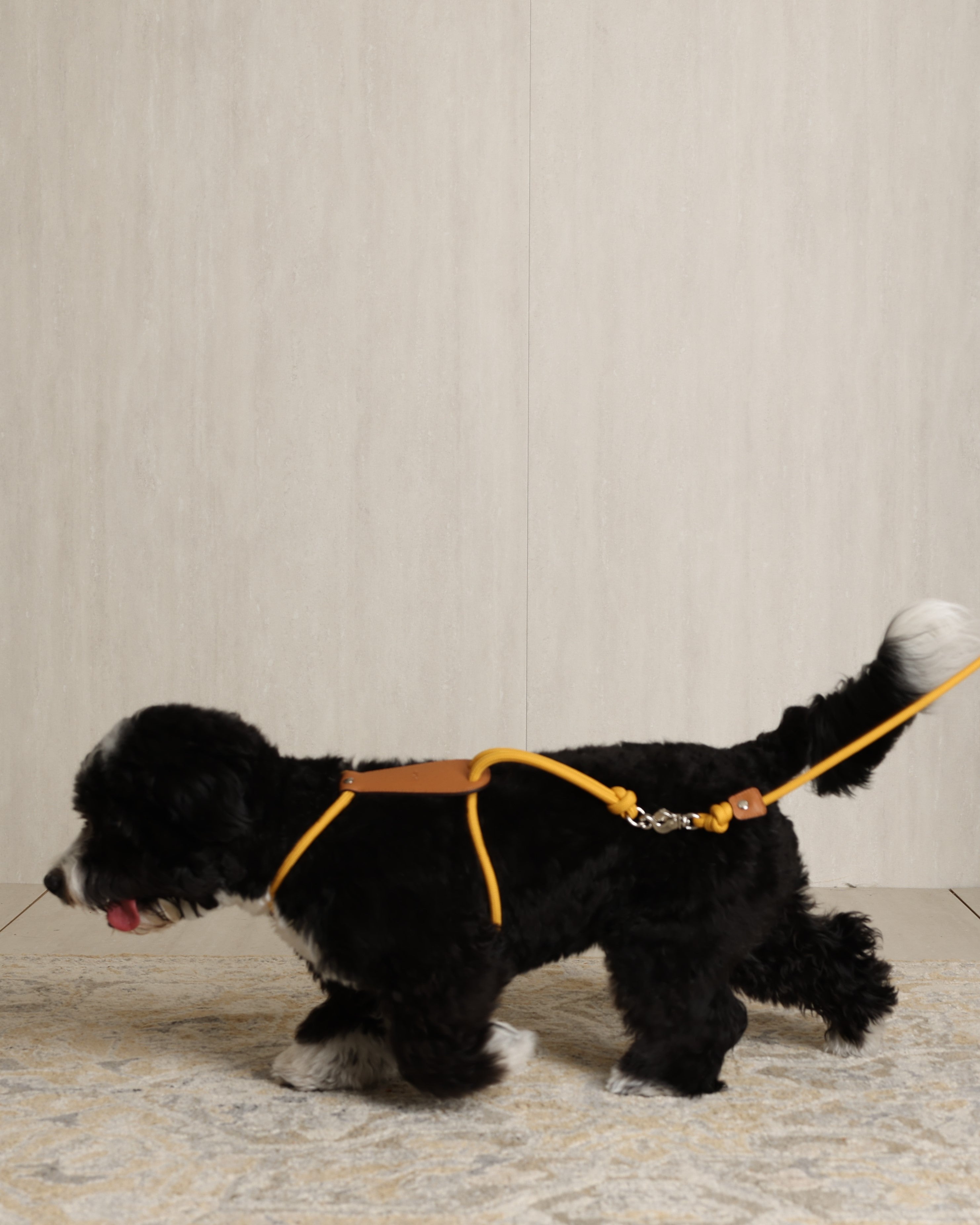 Essential Harness MUSTARD