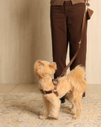 Horsebit Harness MOCHA