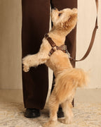 Horsebit Harness MOCHA