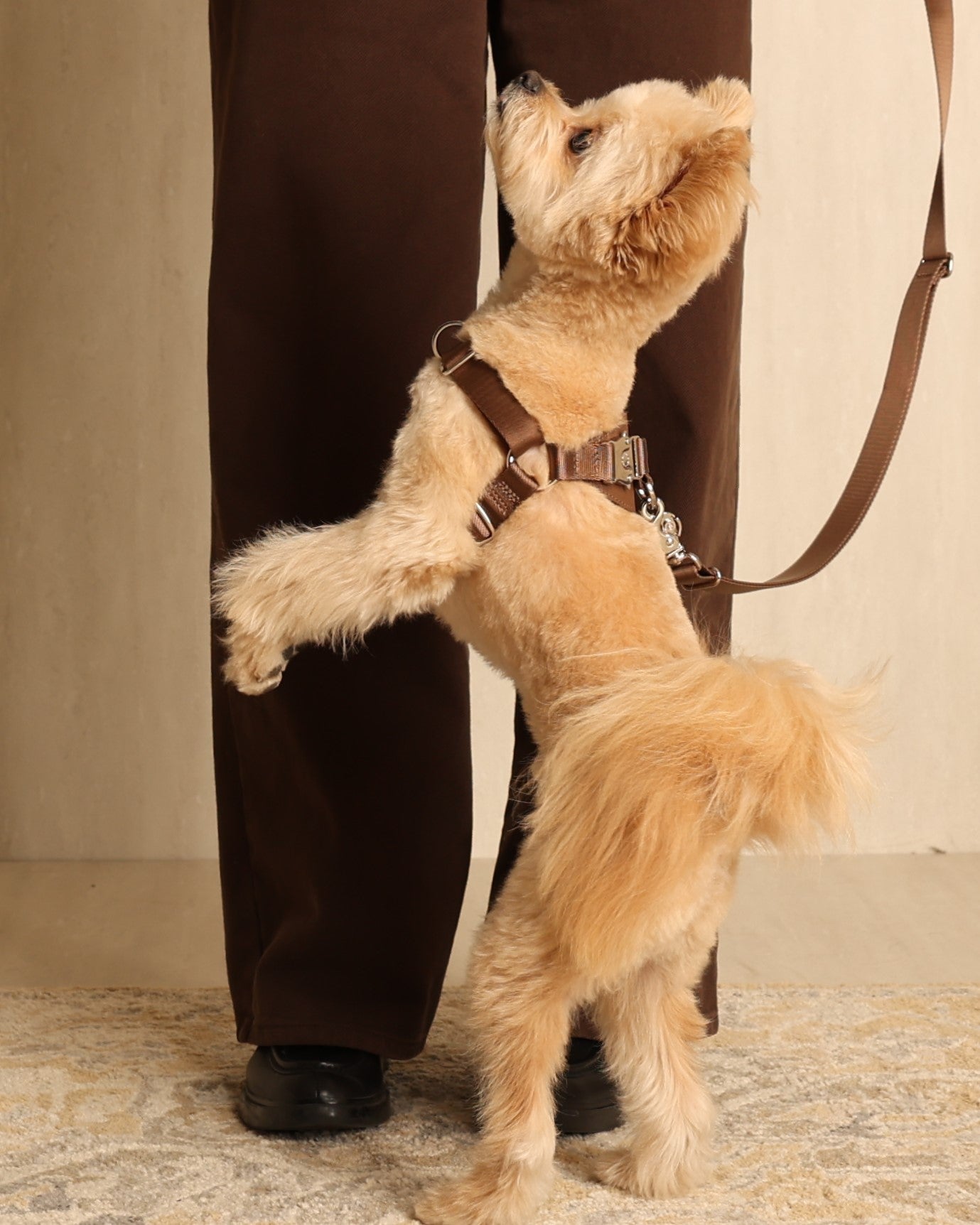 Horsebit Harness MOCHA
