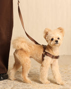 Horsebit Harness MOCHA