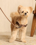 Horsebit Harness MOCHA