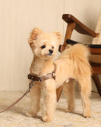Horsebit Harness MOCHA