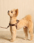 Horsebit Harness MOCHA