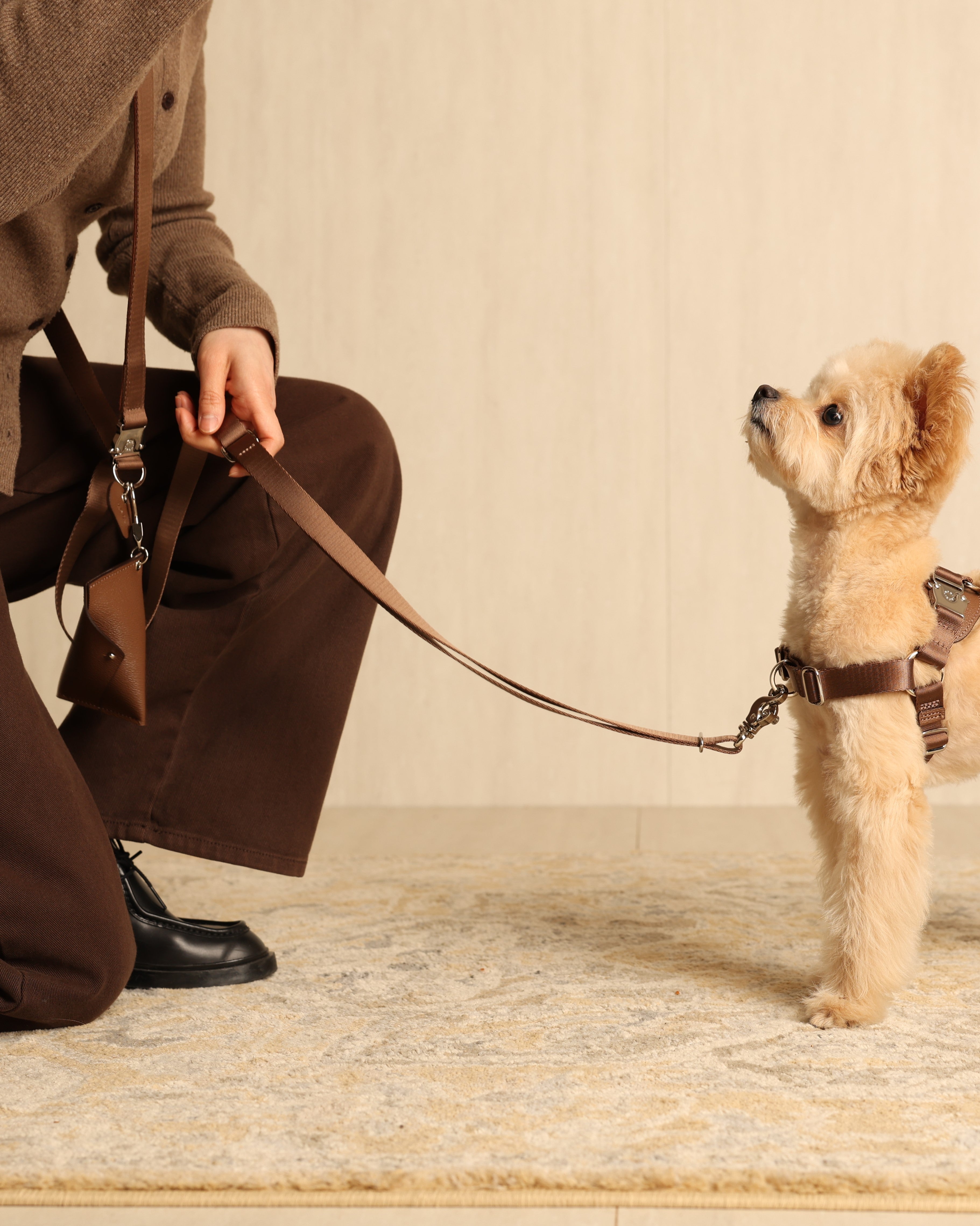 Saddle Hands-Free Lead_MOCHA S