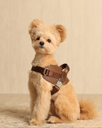 Saddle Harness MOCHA