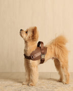 Saddle Harness MOCHA