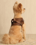 Saddle Harness MOCHA
