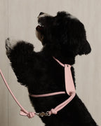 Essential Harness PINK