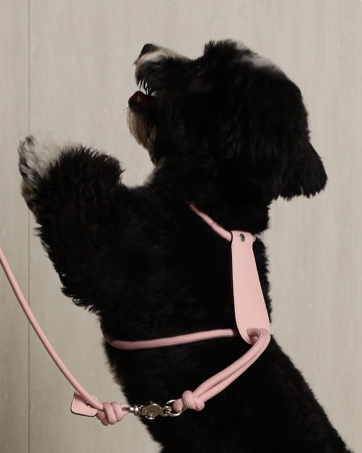 Essential Harness PINK