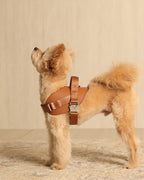 Saddle Harness CAMEL