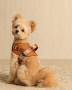 Saddle Harness CAMEL