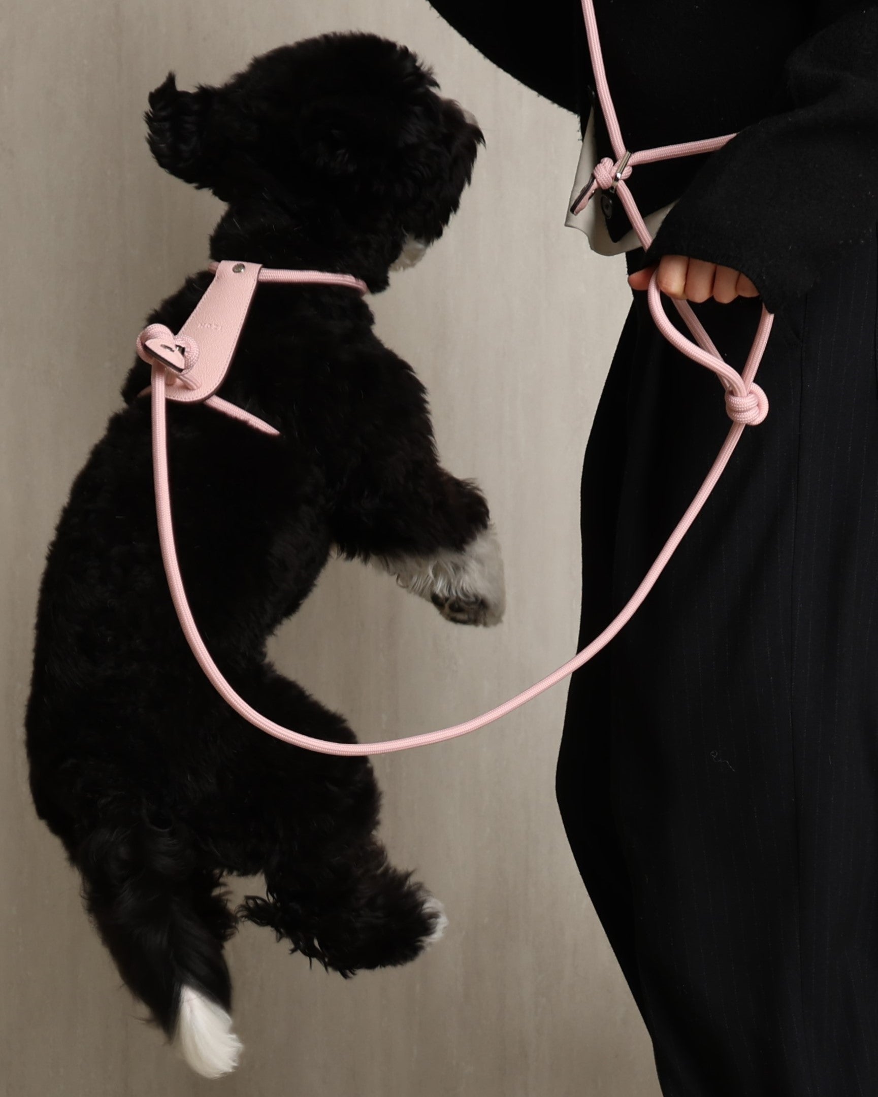 Essential Harness PINK