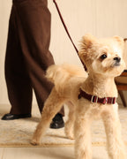 Horsebit Harness BURGUNDY