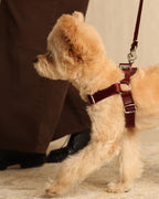 Horsebit Harness BURGUNDY