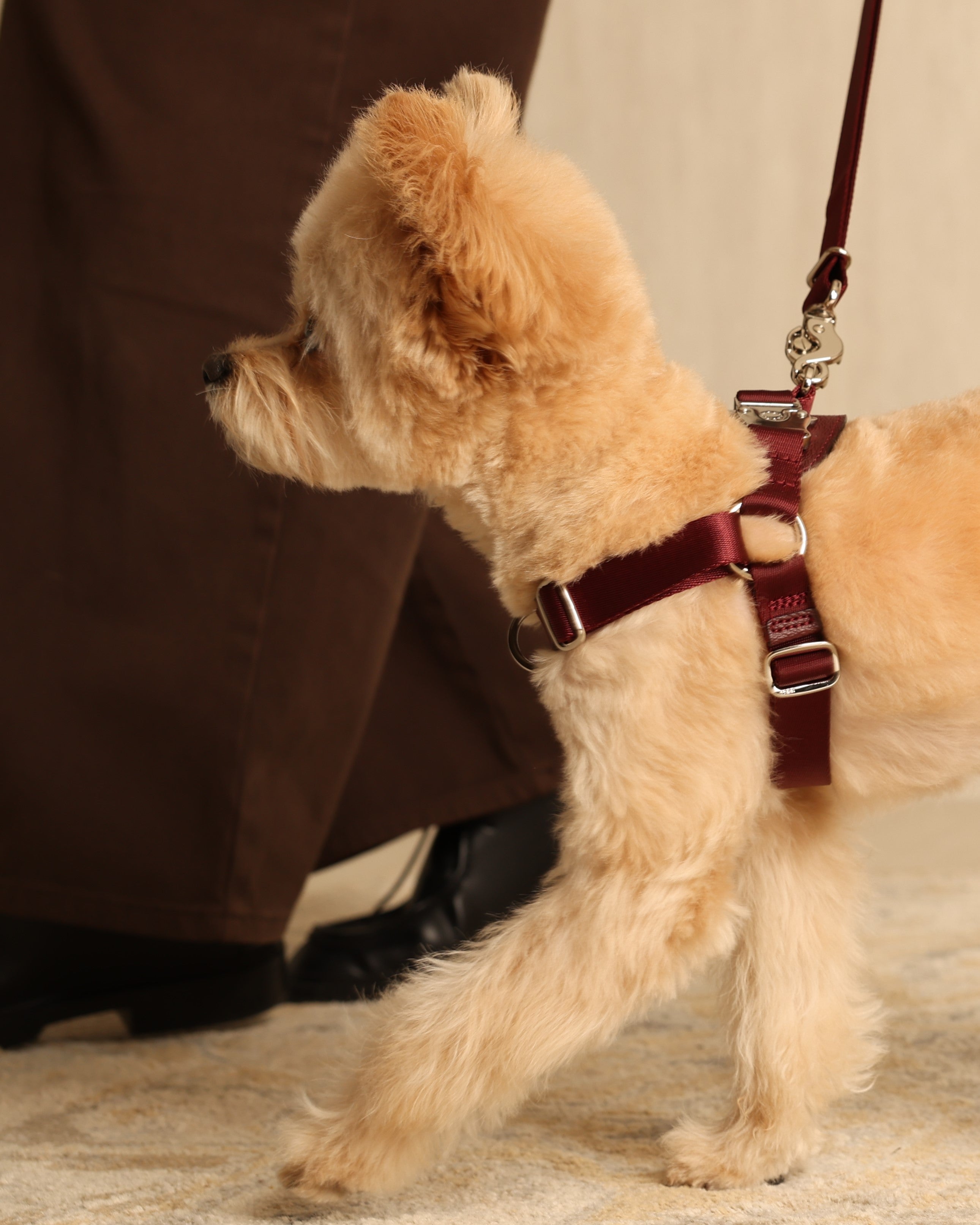 Horsebit Harness BURGUNDY
