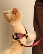 Horsebit Harness BURGUNDY