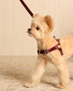 Horsebit Harness BURGUNDY