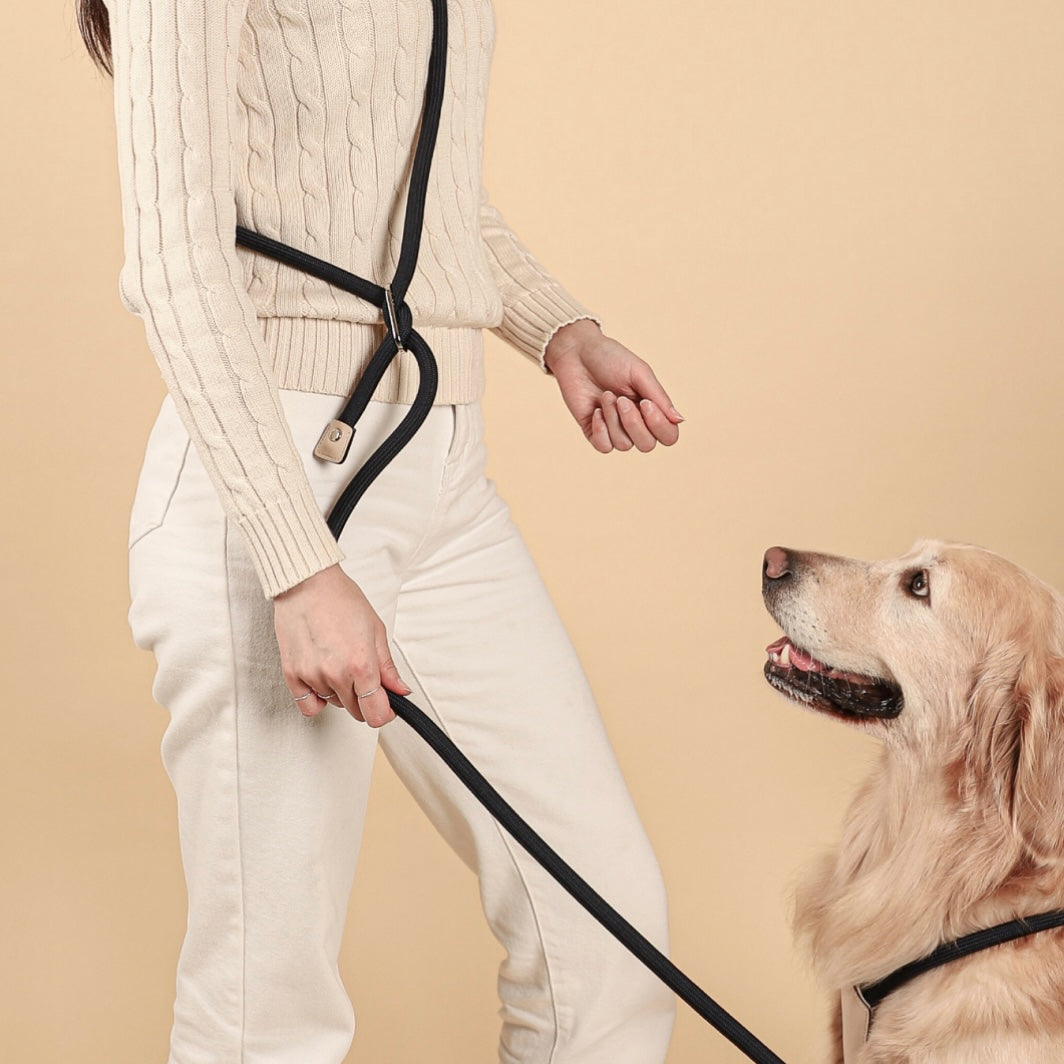 Essential Harness_NAVY