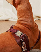 Horsebit Harness BURGUNDY