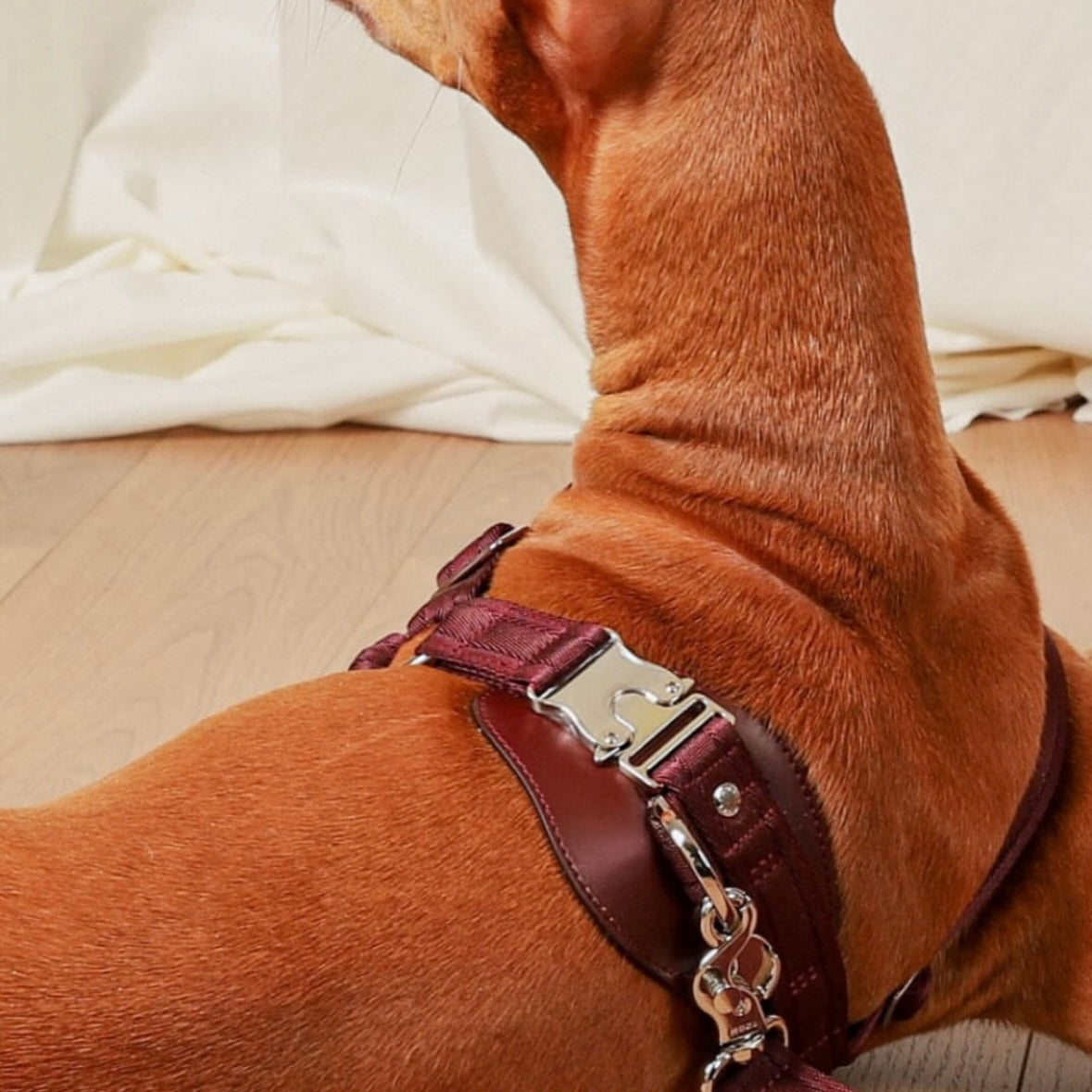 Horsebit Harness_BURGUNDY