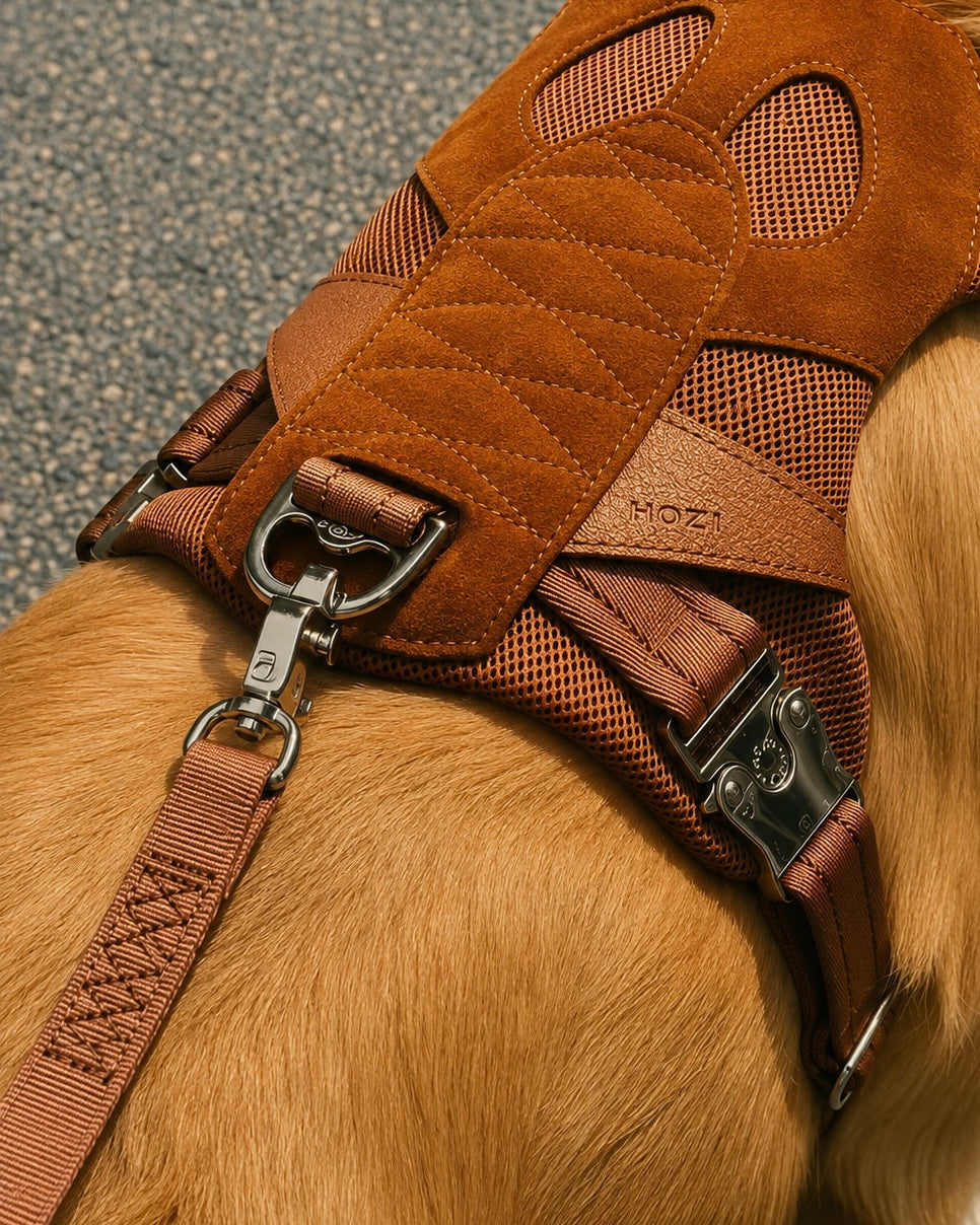 [NEW] Artisan Lead CAMEL
