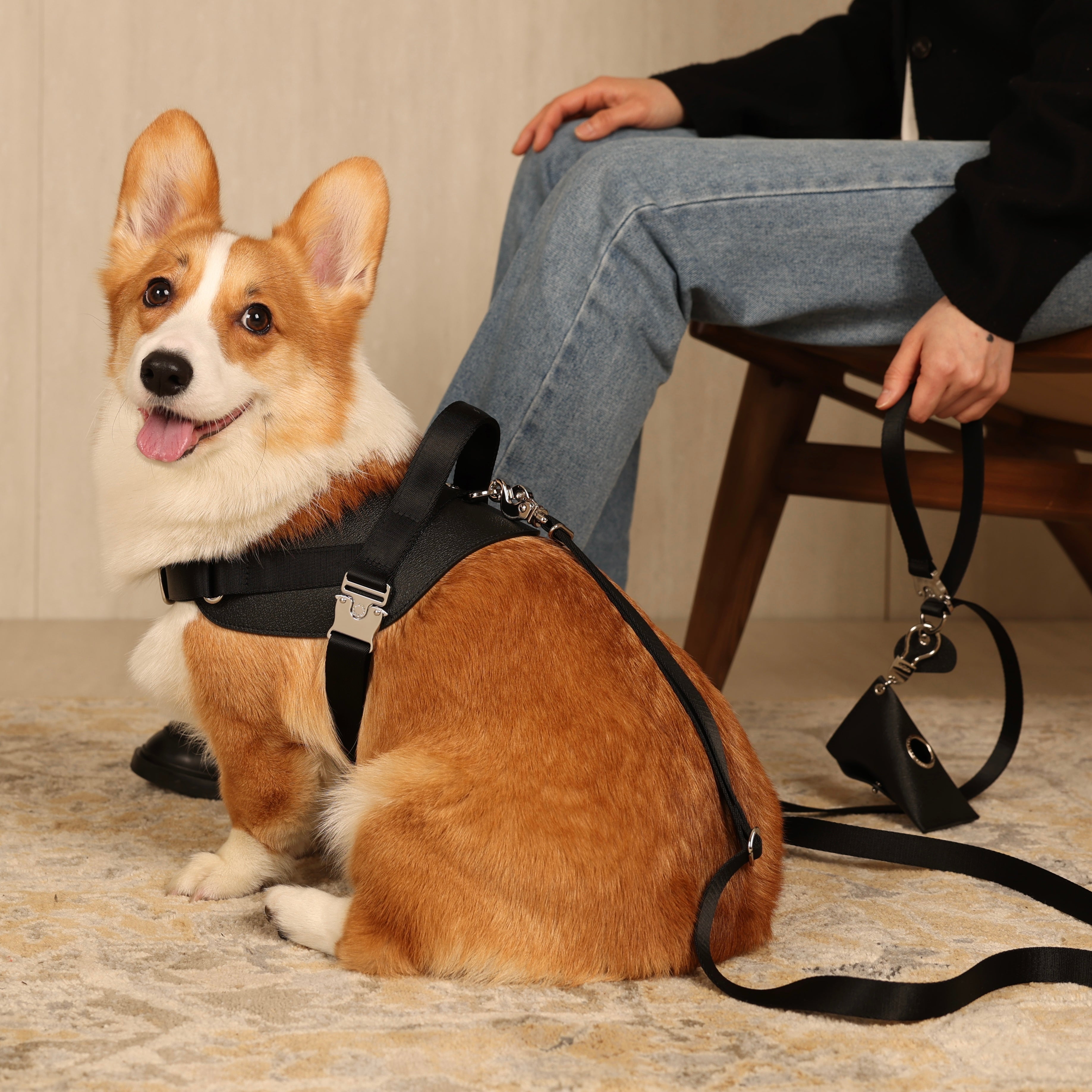 Saddle Harness_BLACK