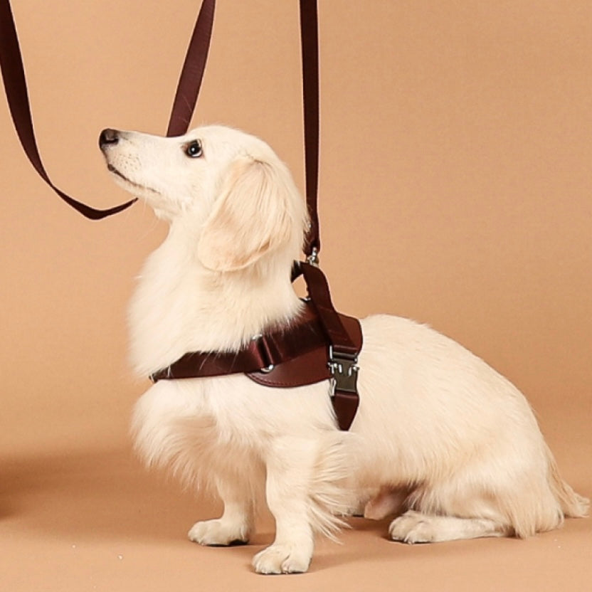 Saddle Harness_BURGUNDY