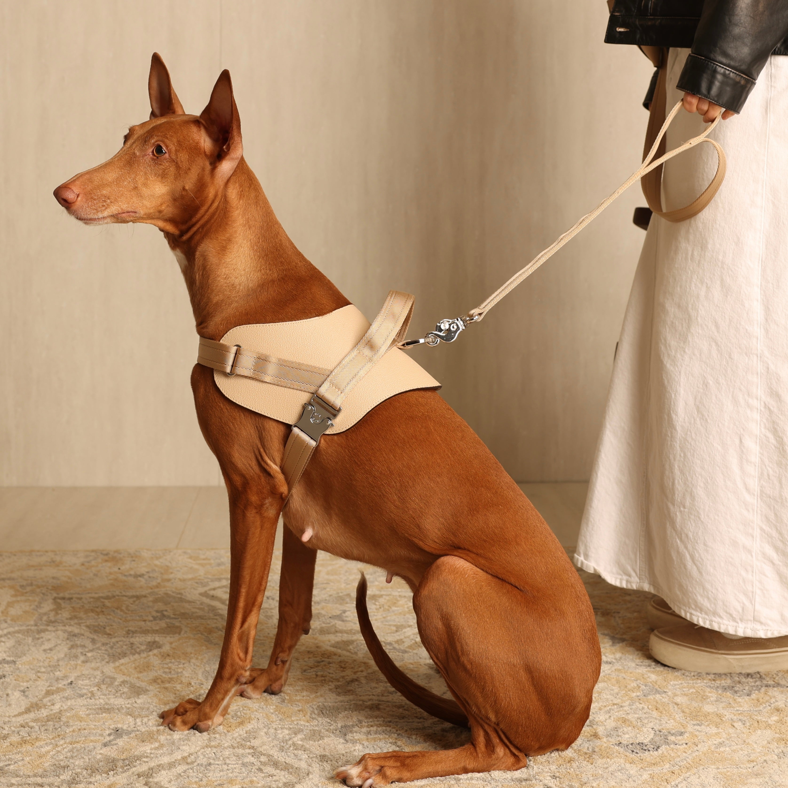 Saddle Harness_BEIGE