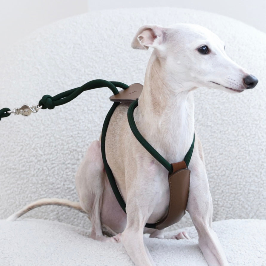 Essential Harness_DEEP GREEN