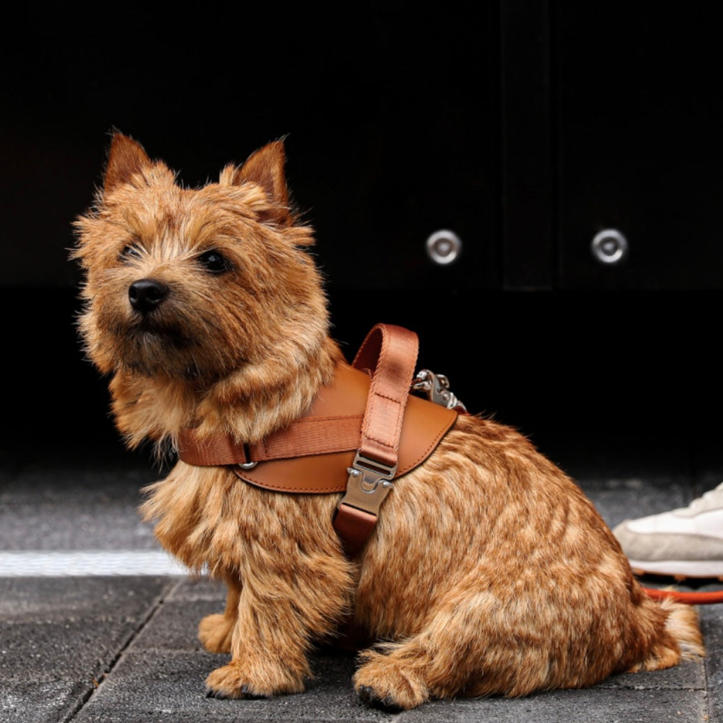 Saddle Harness_CAMEL