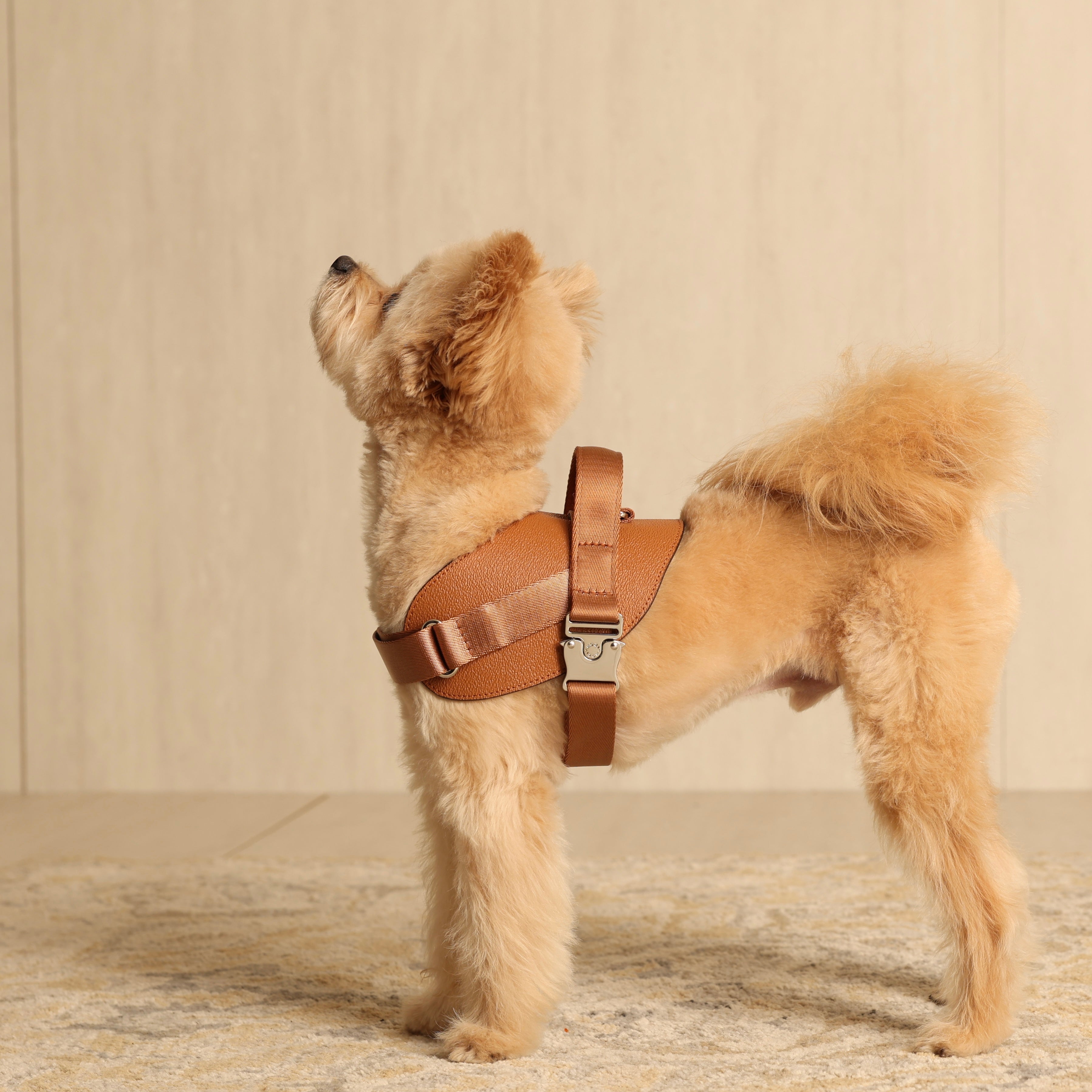 Saddle Harness_CAMEL