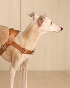 [NEW] Bridle Harness CAMEL