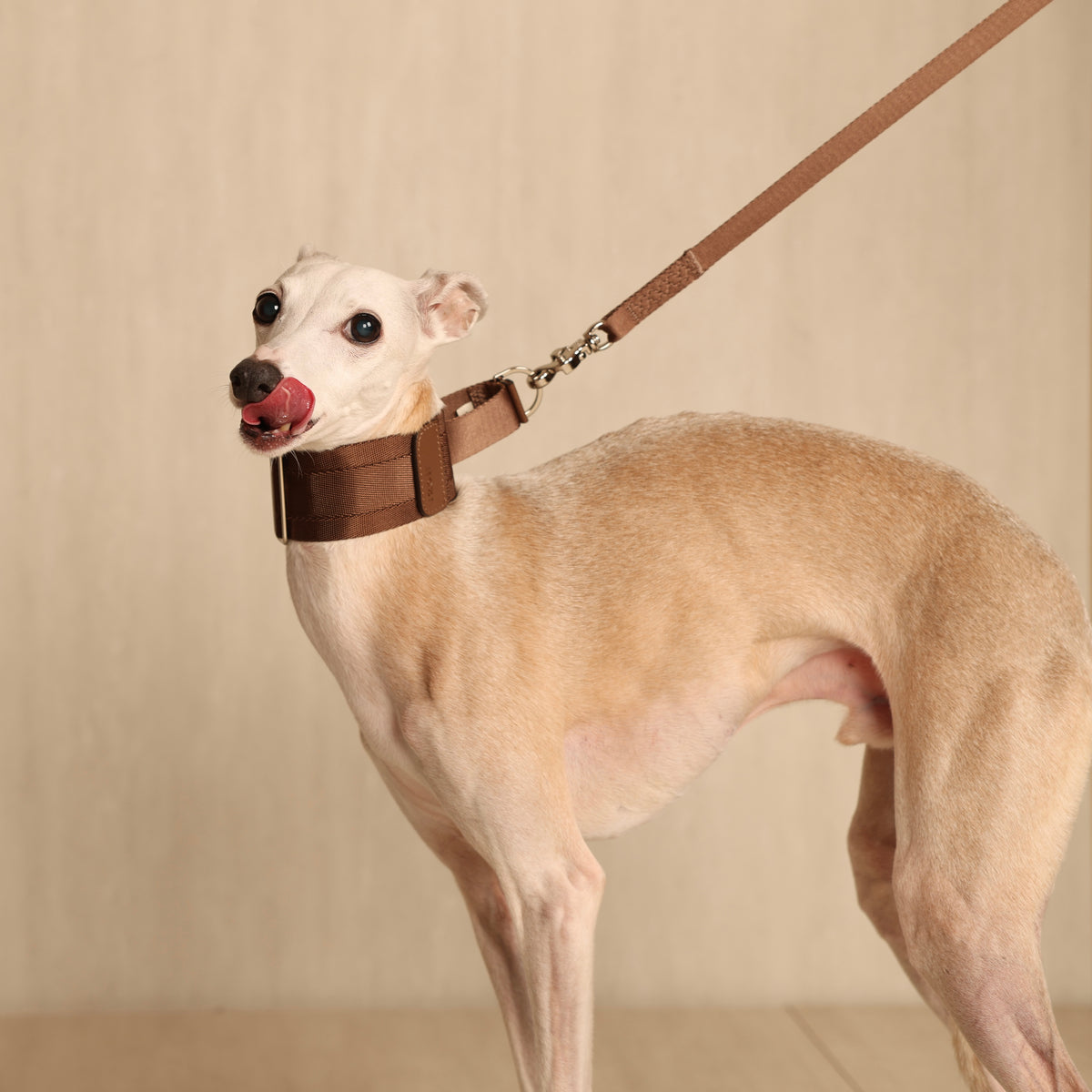 Wide Martingale_MOCHA