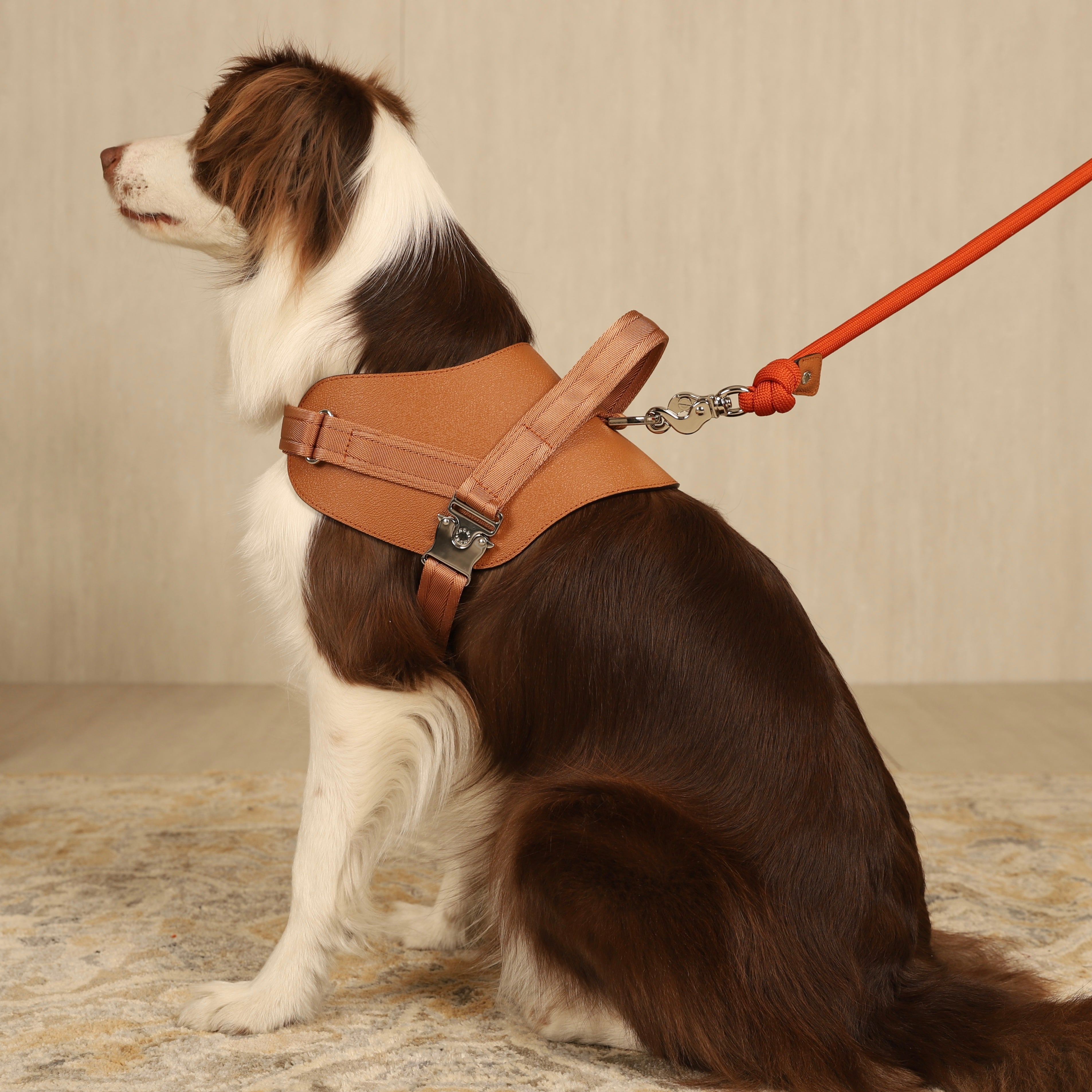 Saddle Harness_CAMEL