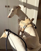Saddle Harness BEIGE