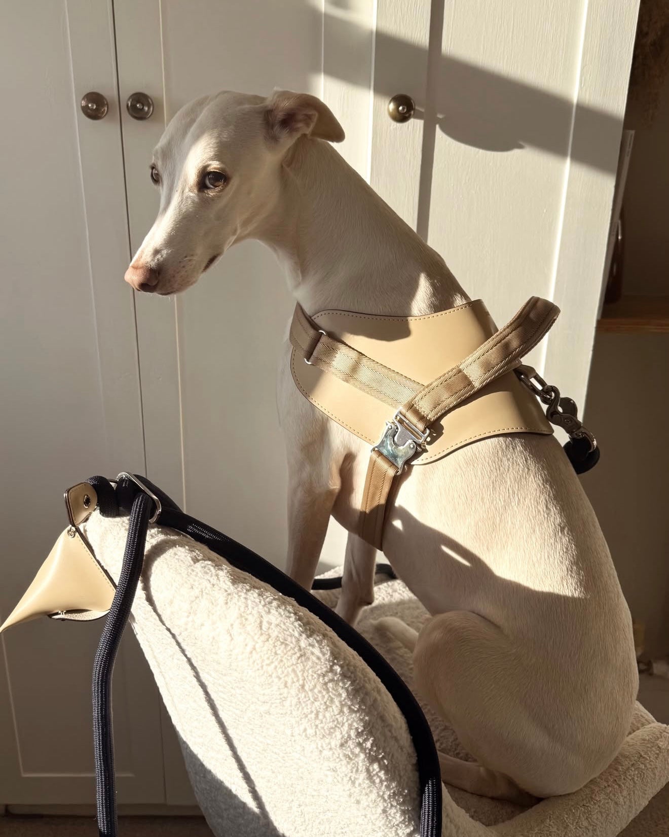 Saddle Harness BEIGE