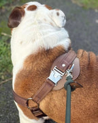 Horsebit Harness MOCHA
