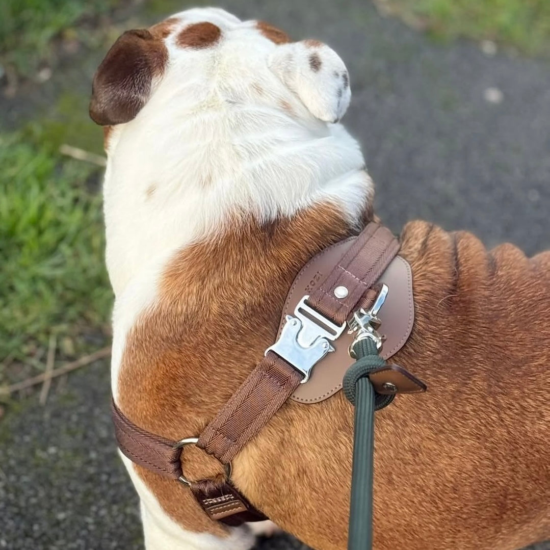 Horsebit Harness_MOCHA