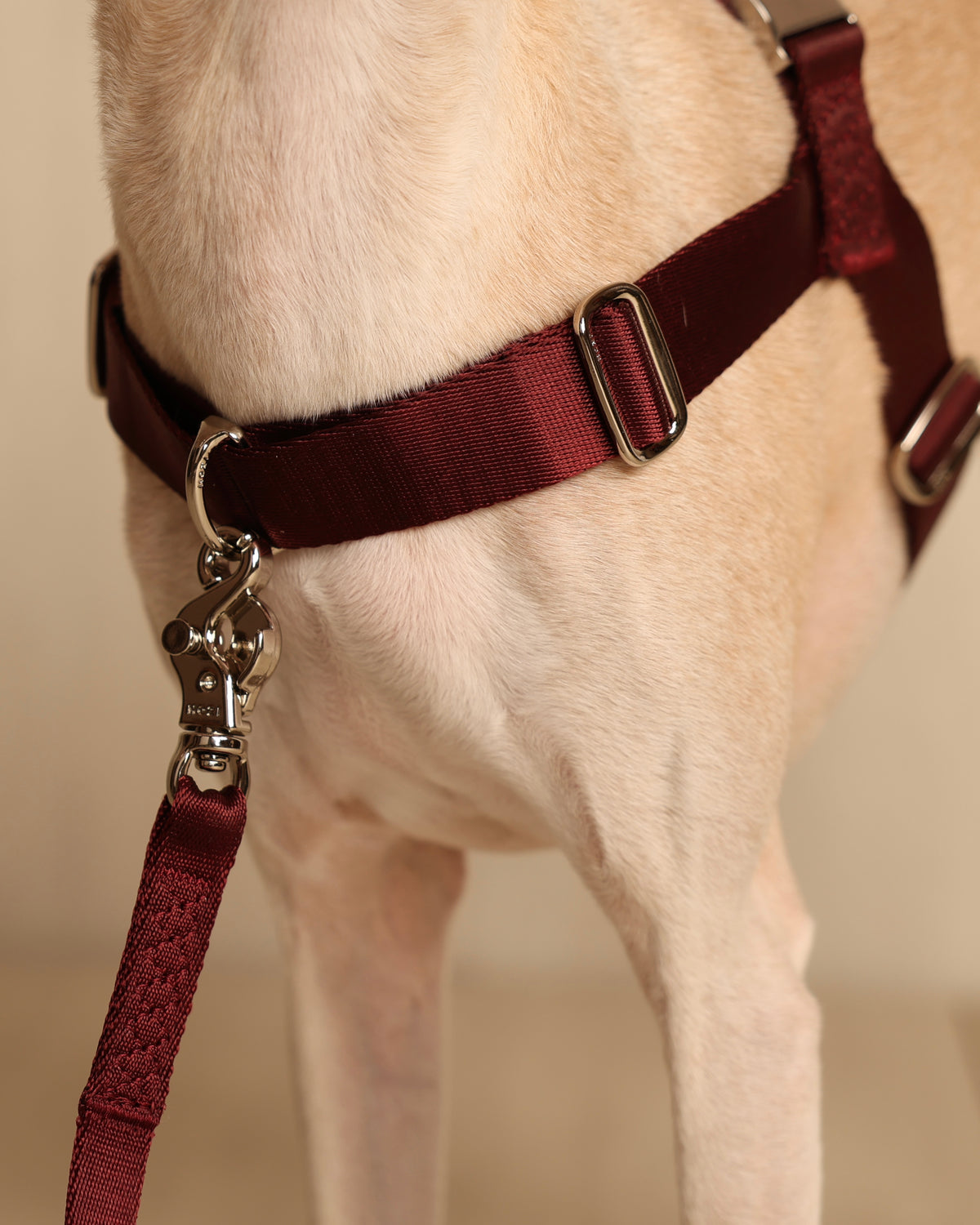 [NEW] Bridle Harness BLCAK