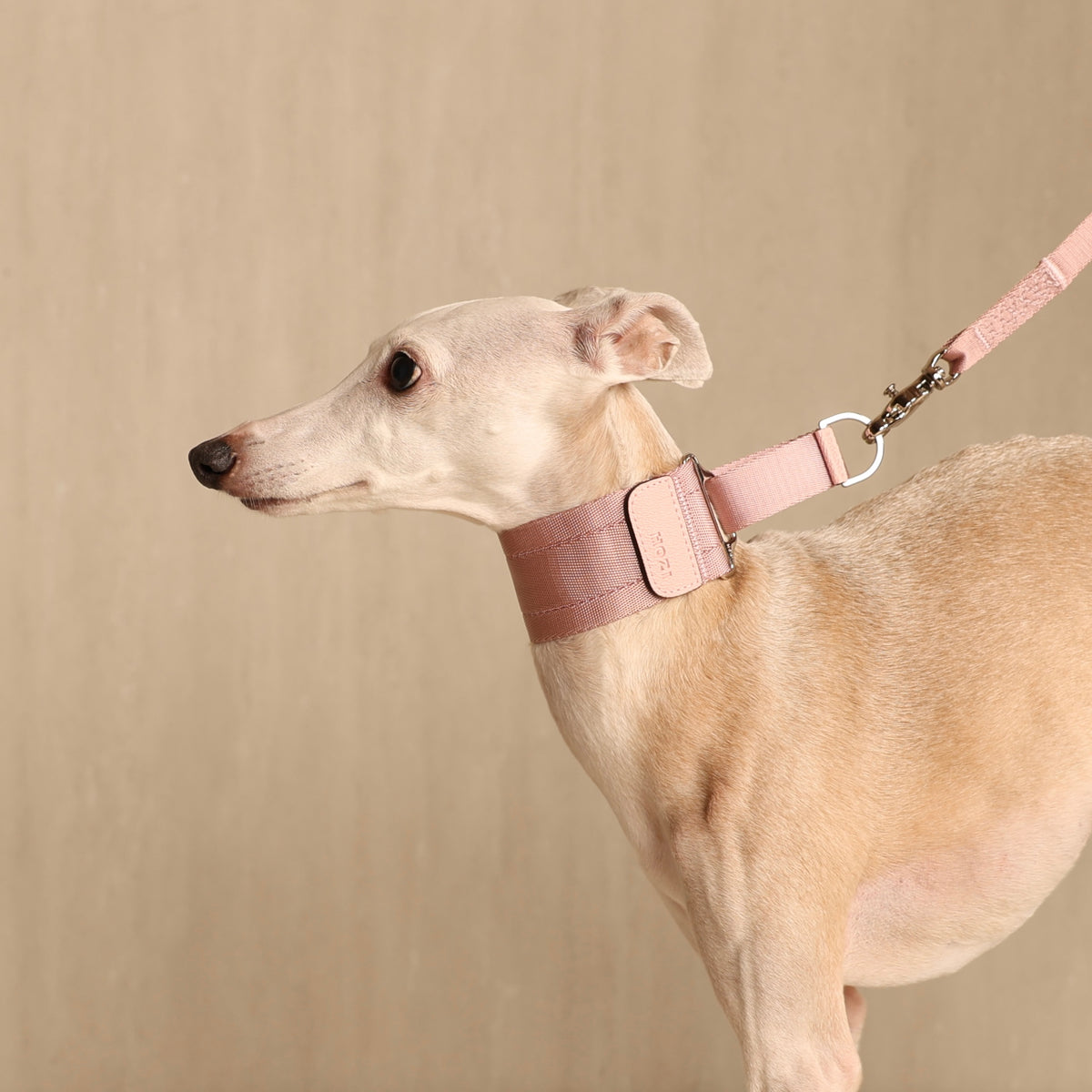Wide Martingale_PINK