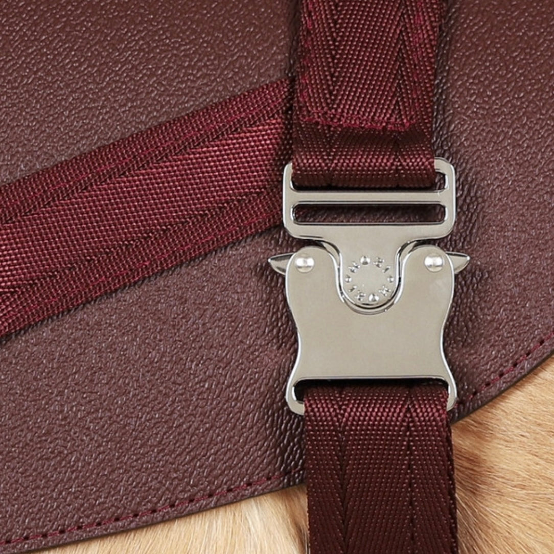 Saddle Harness_BURGUNDY