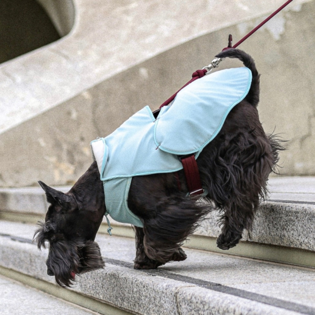 [NEW] Cool Vest_Mint 15%